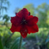 vannie0428